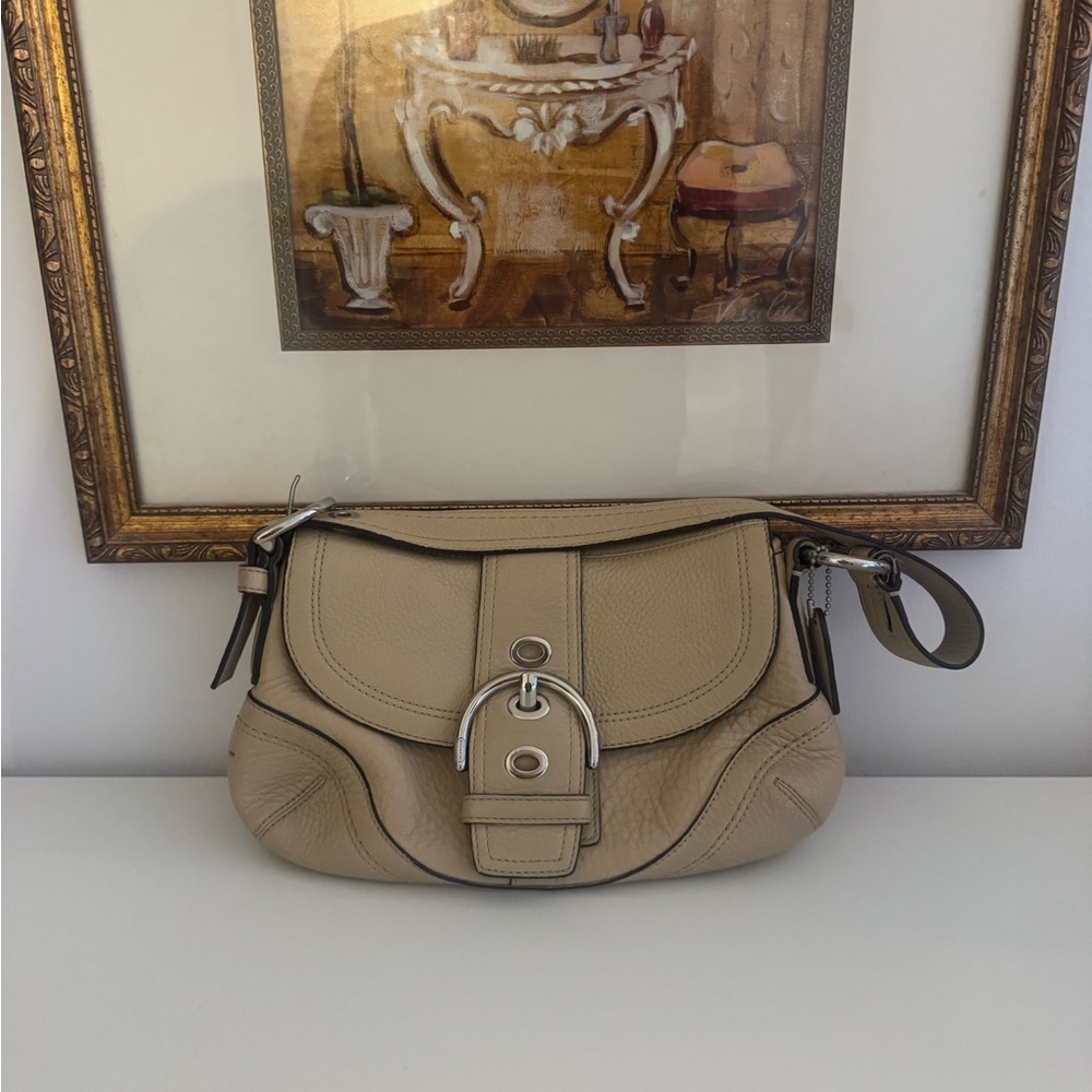 Coach hobo bag